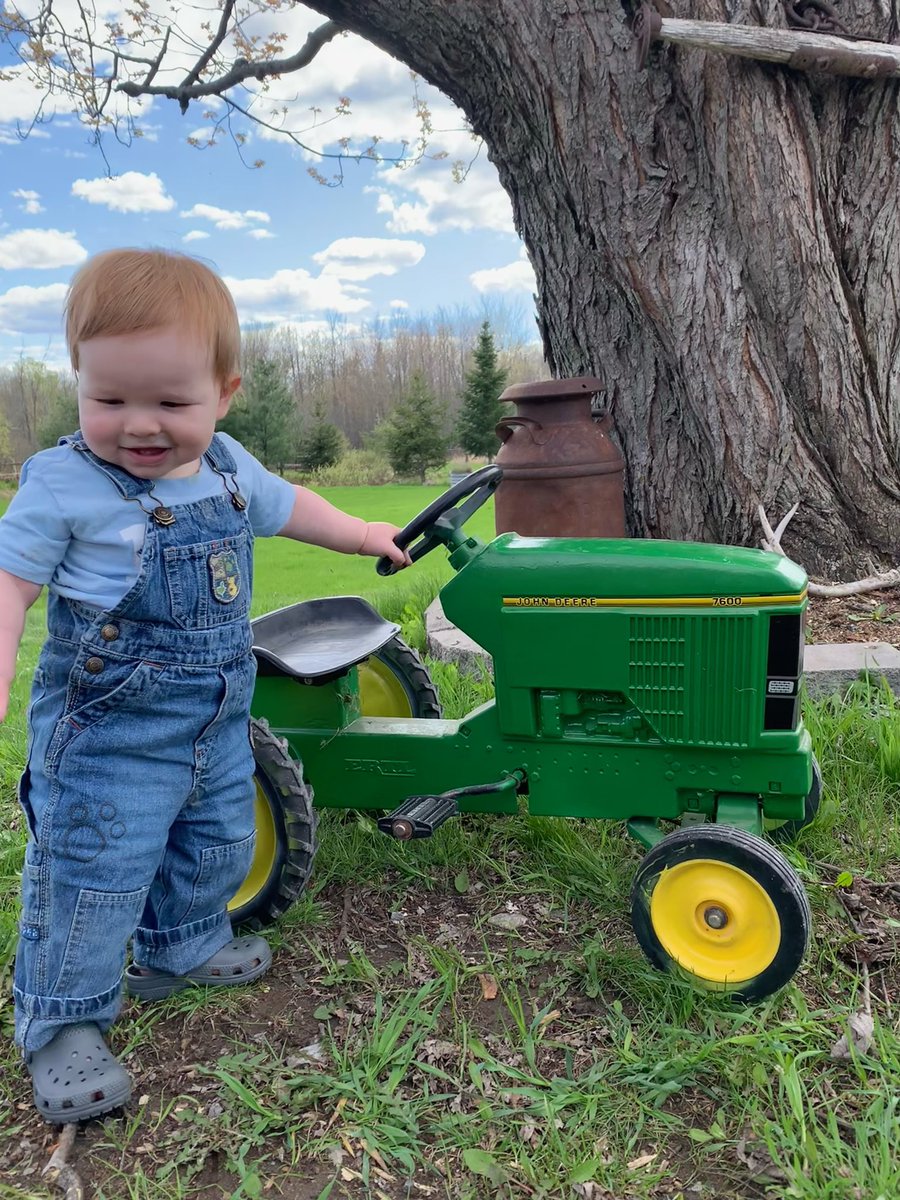 Dylan Foley tweet media