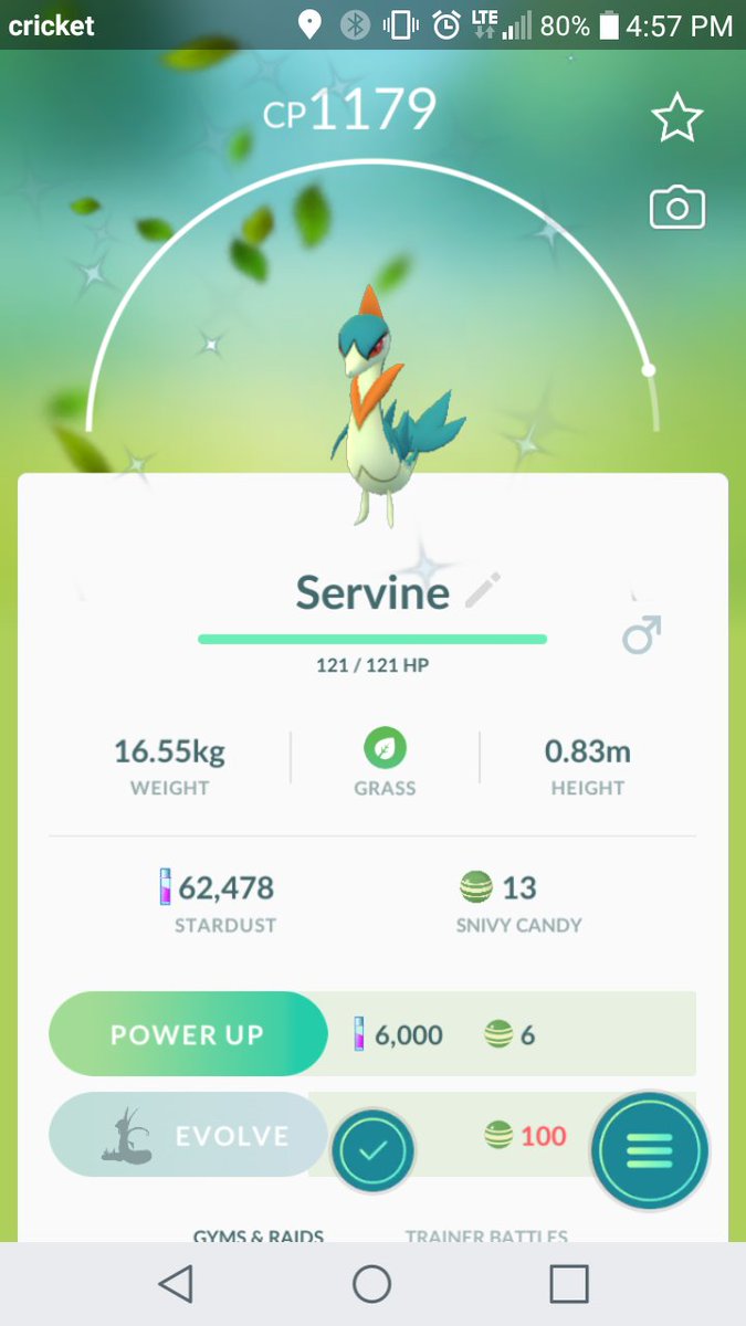 TakiaWolf's tweet photo. Another shiny Pokemon I got from few months ago and evolve too lol.
#PokemonGO #shinyp https://t.co/diqtteHGJZ