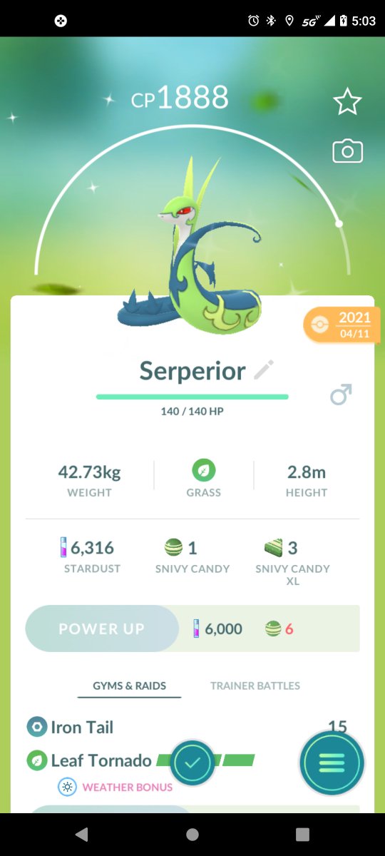 TakiaWolf's tweet photo. Another shiny Pokemon I got from few months ago and evolve too lol.
#PokemonGO #shinyp https://t.co/diqtteHGJZ