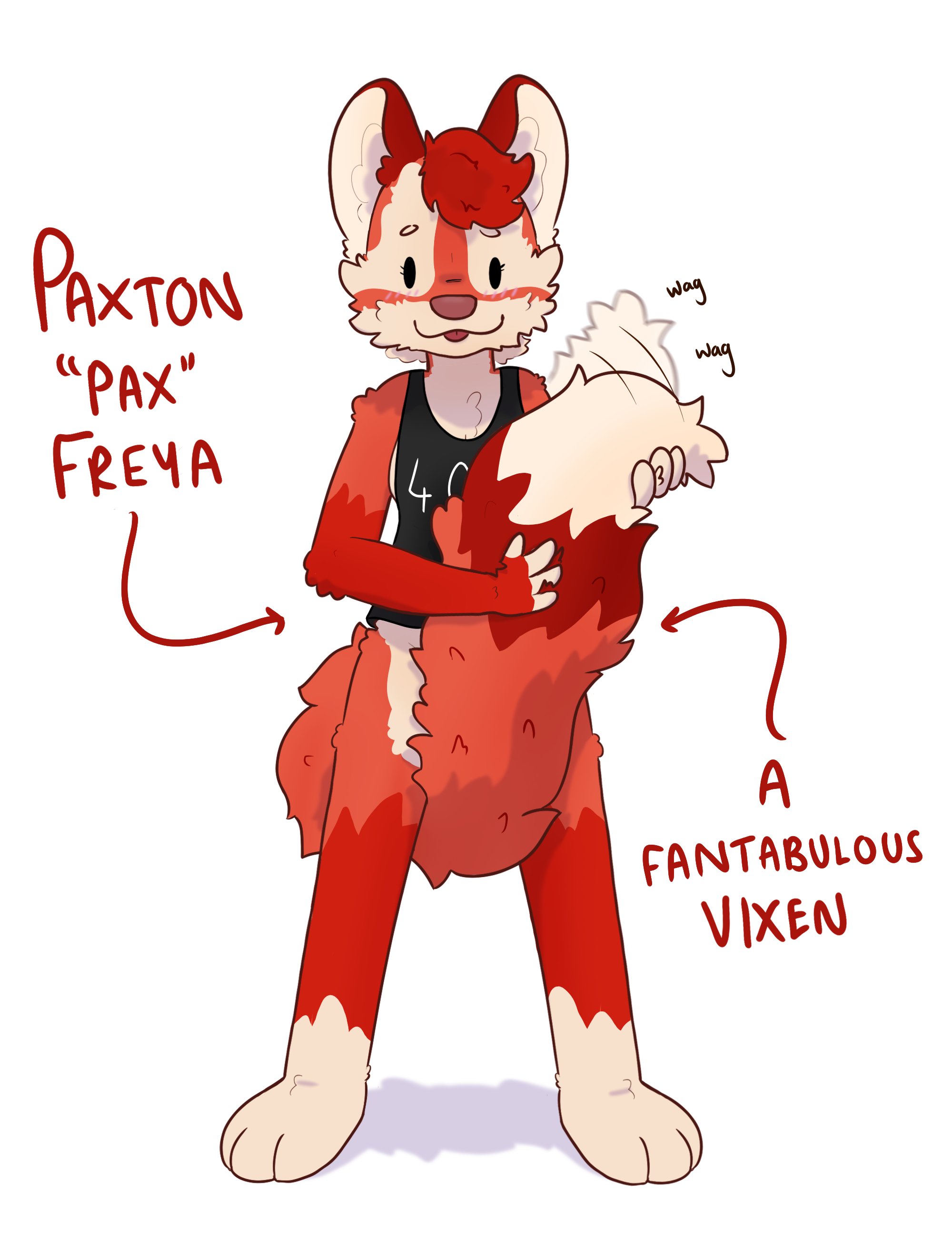Cordy fox 2025