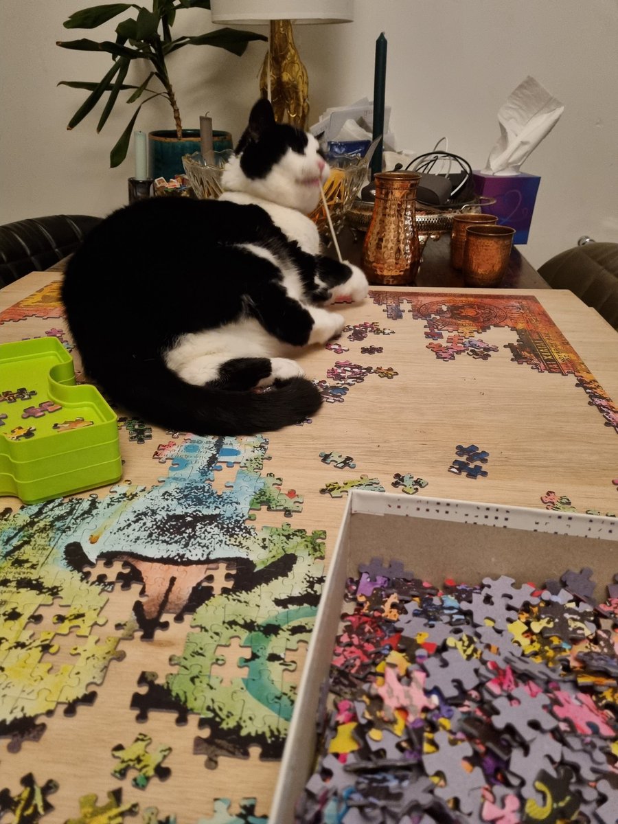 Goeie plek om je speelgoedmuis te gaan slopen.