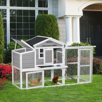 getconnectedone's tweet image. A variety of #chickencoops &amp;amp; #henhouses to choose from. They have chicken coops for sale to meet any need from the casual backyard farmer to the dedicated enthusiast. shrsl.com/420bq #PaidPartner Their chicken houses are made from the highest quality material