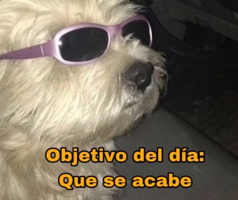 skereunpesado's tweet photo. https://t.co/QPAKtMF9tS