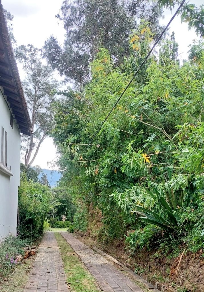 Empresa Eléctrica Quito tweet media