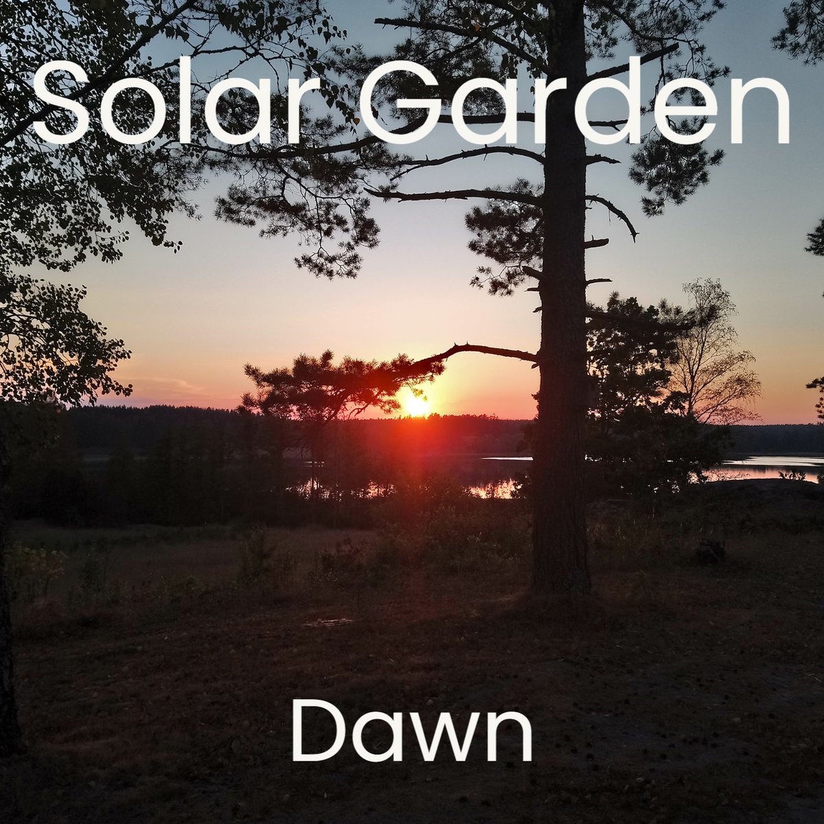 My new single "Dawn" is out now on various streaming services!
Feel free to listen and tell me what you think!