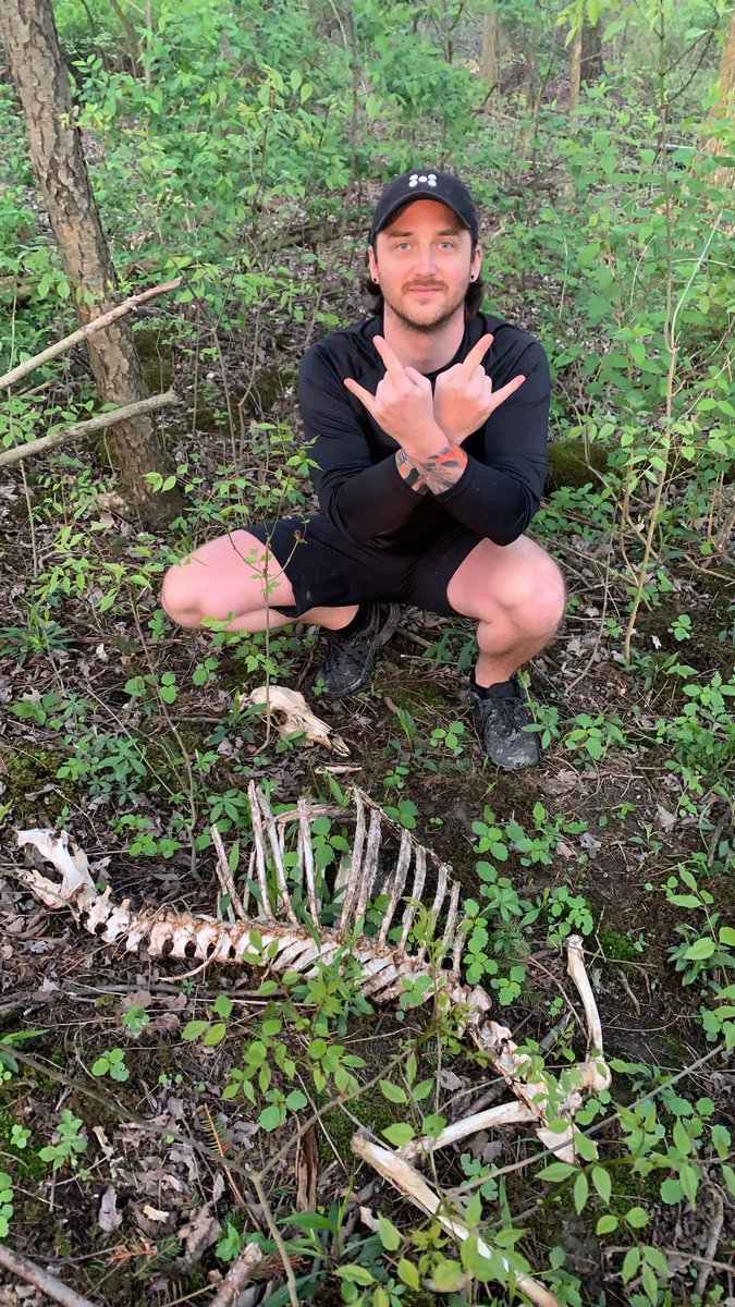 Found this bad boy on the trail 🚴🏼💨

Pretty sure it’s a Stegosaurus