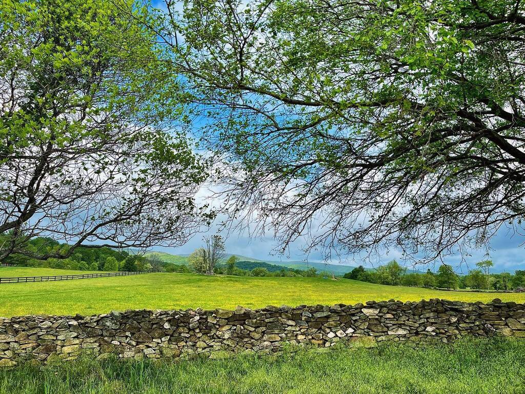 Pastoral perfection in my corner of the world this Saturday morning. And a perfect day for the <a href="/virginiagoldcup/">Torrey Pocock</a> races! A rare weekend in that we’re not attending today, opting instead to enjoy a lazy AM together with Dinah and spend some time this afternoon with our friends …