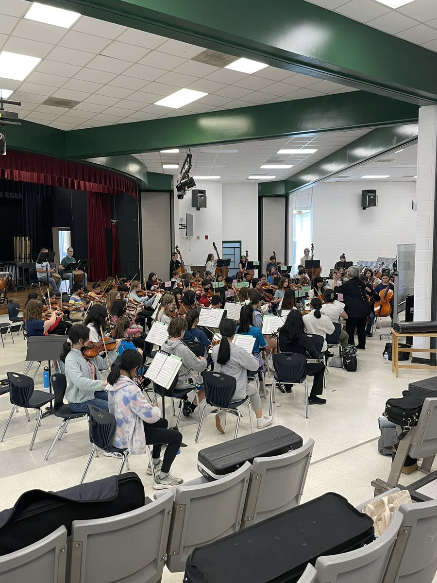 Ligon Orchestras tweet media