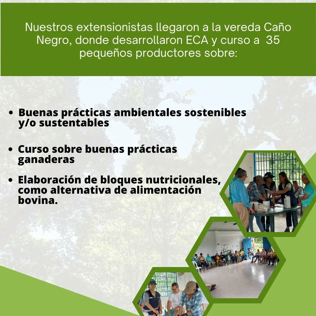 Está vez llegamos al municipio de Saravena en el departamento de Arauca, dónde se desarrollaron  actividades de campo como ⬇️