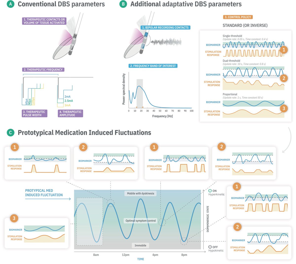 Happy to share our review article with @littleneuro, @roeegilron and @GerdTinkhauser out in @movedisorder. We discuss, biomarkers, control policies and clinical algorithms from experimental evidence to practical application of #adaptiveDBS. @Retune_CRC doi.org/10.1002/mds.29…