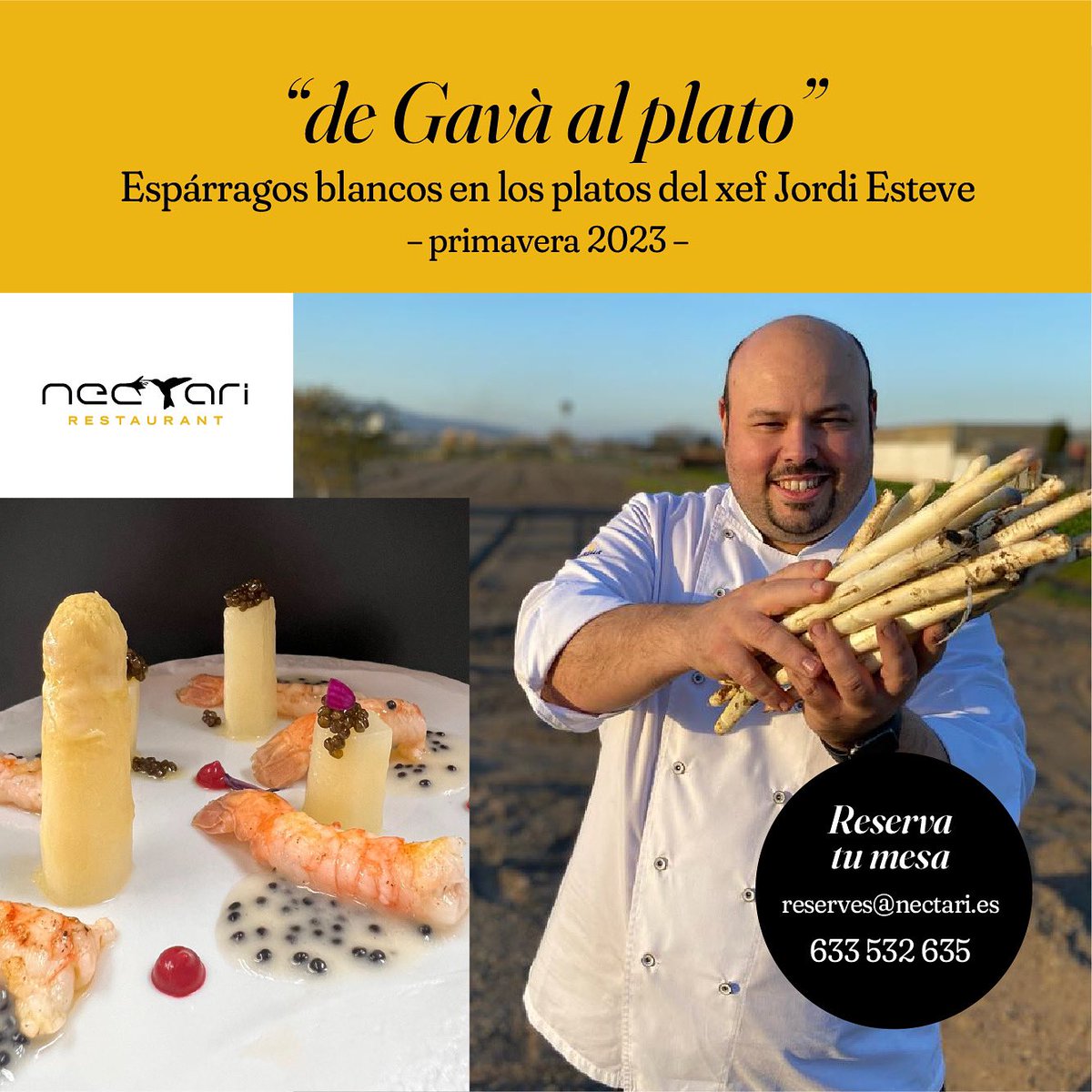 Os apetece probar los espárragos blanco de Gavà?
Reservas WhatsApp: 633 532 635
