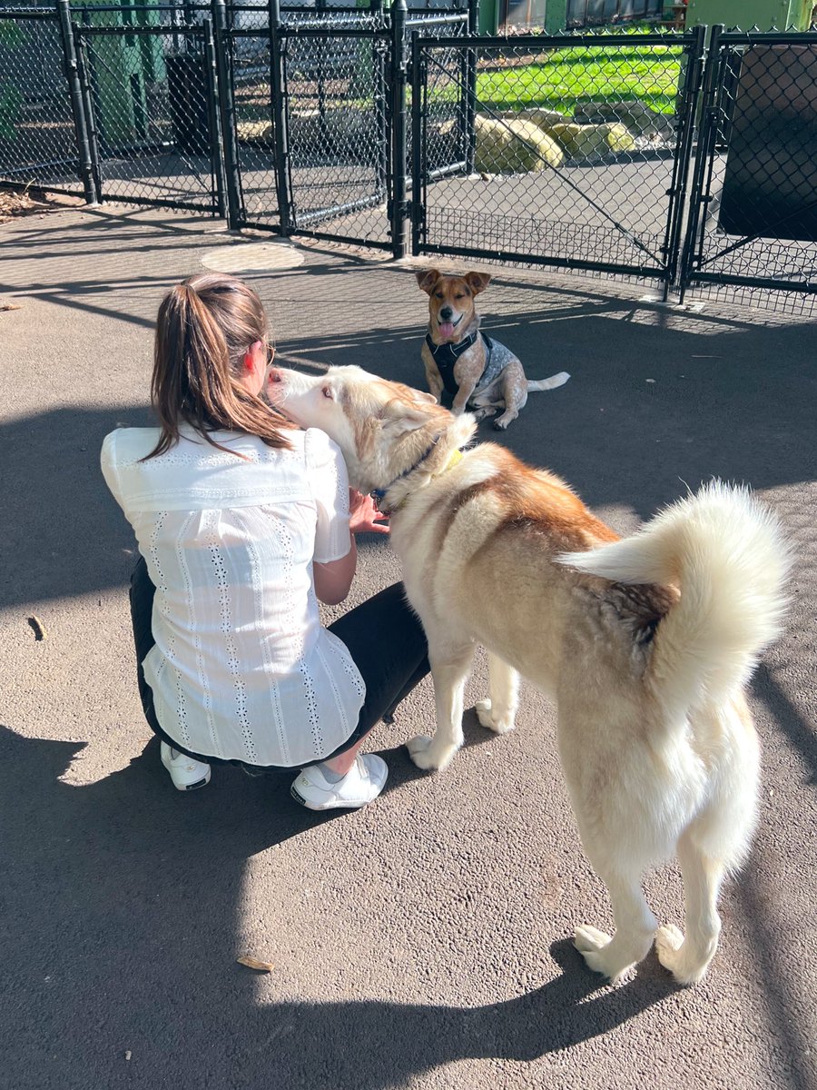 Cooper is sooo happy <a href="/svershbow/">Sophie Vershbow</a> is back stateside!!