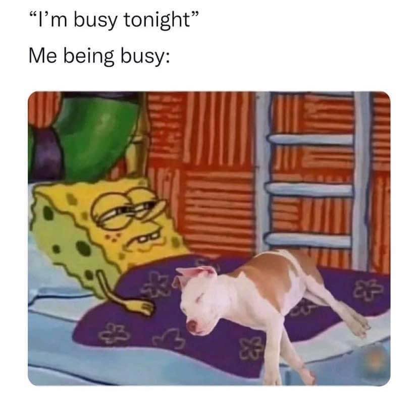 WholesomeMeme's tweet photo. https://t.co/qKY9uxJ8Qp