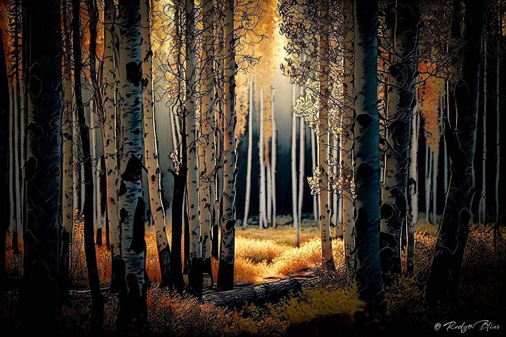 Golden Treasures
©2023 Rodger Bliss
📷📷 #AspenForest #goldenhour
The trees radiate in warm hues of gold and amber, a breathtaking sight to behold!