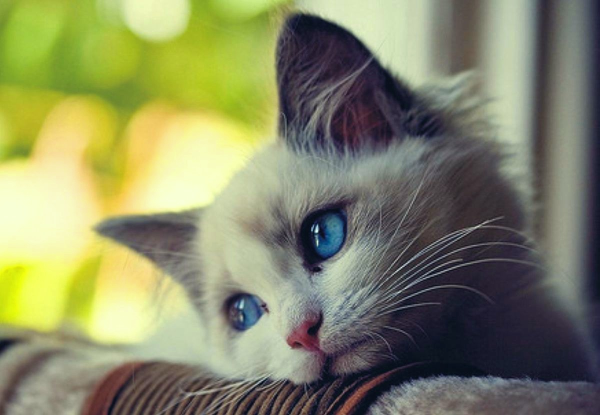 💔 Sizin de kalbinizi mi kırdılar?💔
 ❤️‍🩹😢 HAYDİ TAKIPLEŞELIM😢❤️‍🩹