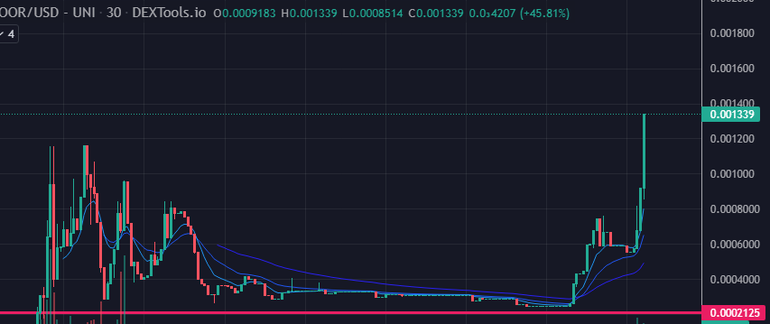 lunchtime //🌙 tweet media