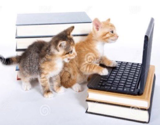Kaimelia as cats #kaimelia