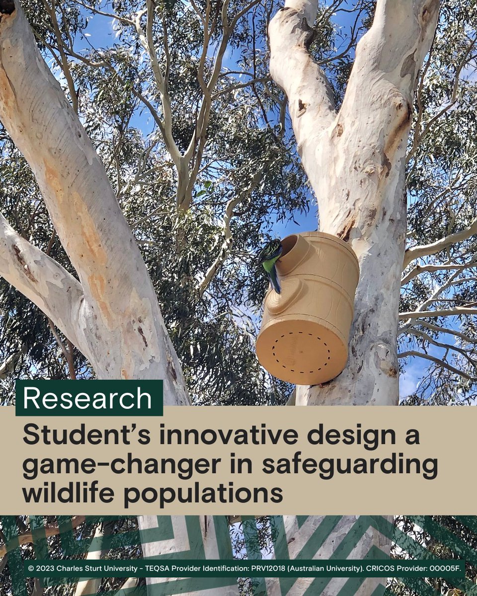 Charles Sturt University (@charlessturtuni) on Twitter photo 🪺 “With big trees becoming rarer in the landscape, there are simply not enough homes to go around, and nest boxes are an effective way to increase nesting habitats to arrest population declines."
🔗: go.csu.edu.au/wildliferesear… 🪺 “With big trees becoming rarer in the landscape, there are simply not enough homes to go around, and nest boxes are an effective way to increase nesting habitats to arrest population declines."
🔗: go.csu.edu.au/wildliferesear…