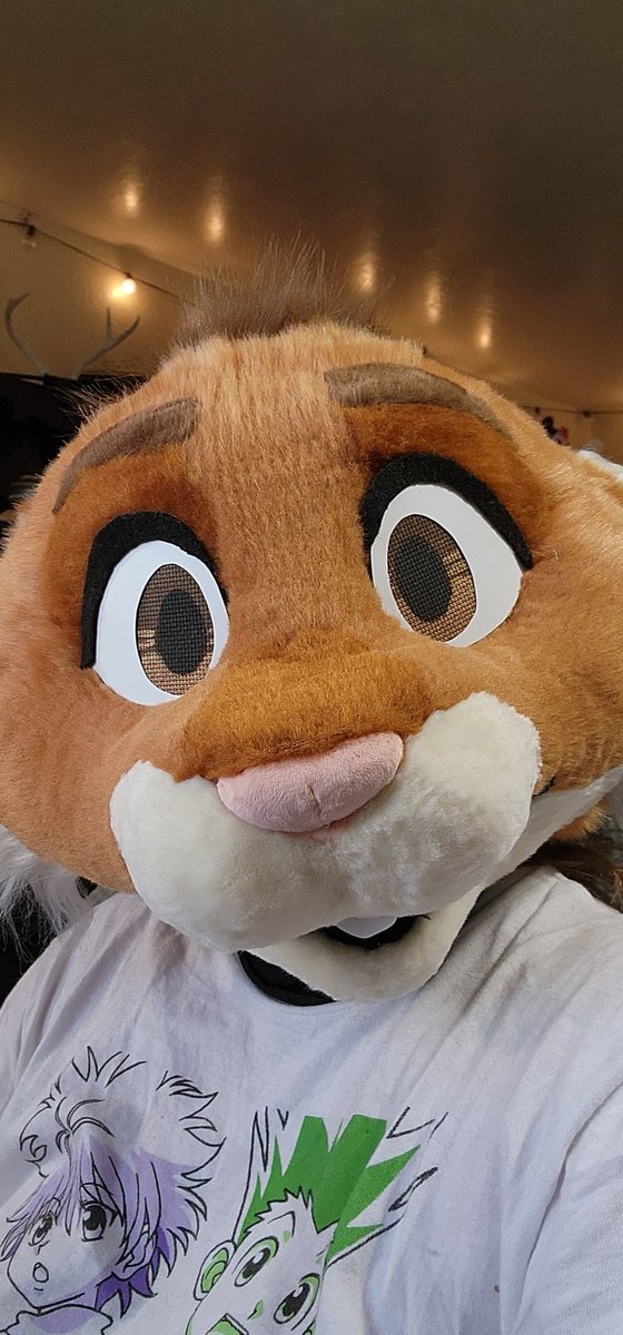 RegalBeansSuits's tweet photo. Getting there! 
She isn't as symmetrical as id hoped, BUT! For a first head since 2013, im not too upset haha (Cider's aware!) https://t.co/NjyBFUMk9q
