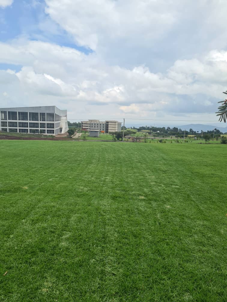 bonso_bude's tweet photo. Arsi university! 

Like our Star Athletes, Excelling professionals! https://t.co/qcSAfPuObz