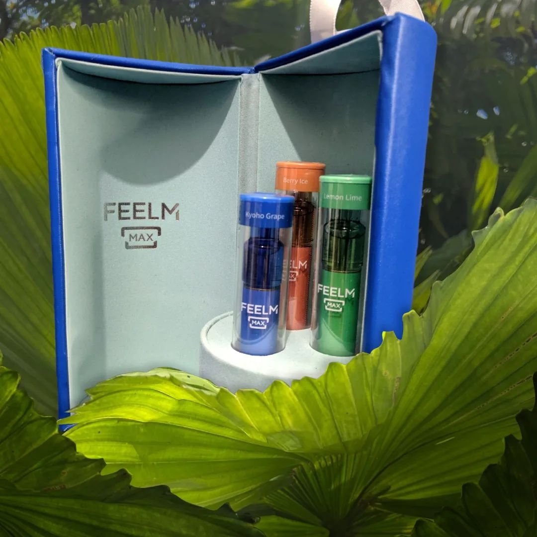 1270_896's tweet photo. Here it is the trio mini disposable pod inside the magnetic FeelM Max cylinder case.
3 nice flavors. Kyoho Grape, Berry Ice, Lemon Lime.
Thanks to @feelmtech
#feelm #feelmtech #feelmmax
#closesystempod
#theultimatesensation https://t.co/AWvwL7SG7b