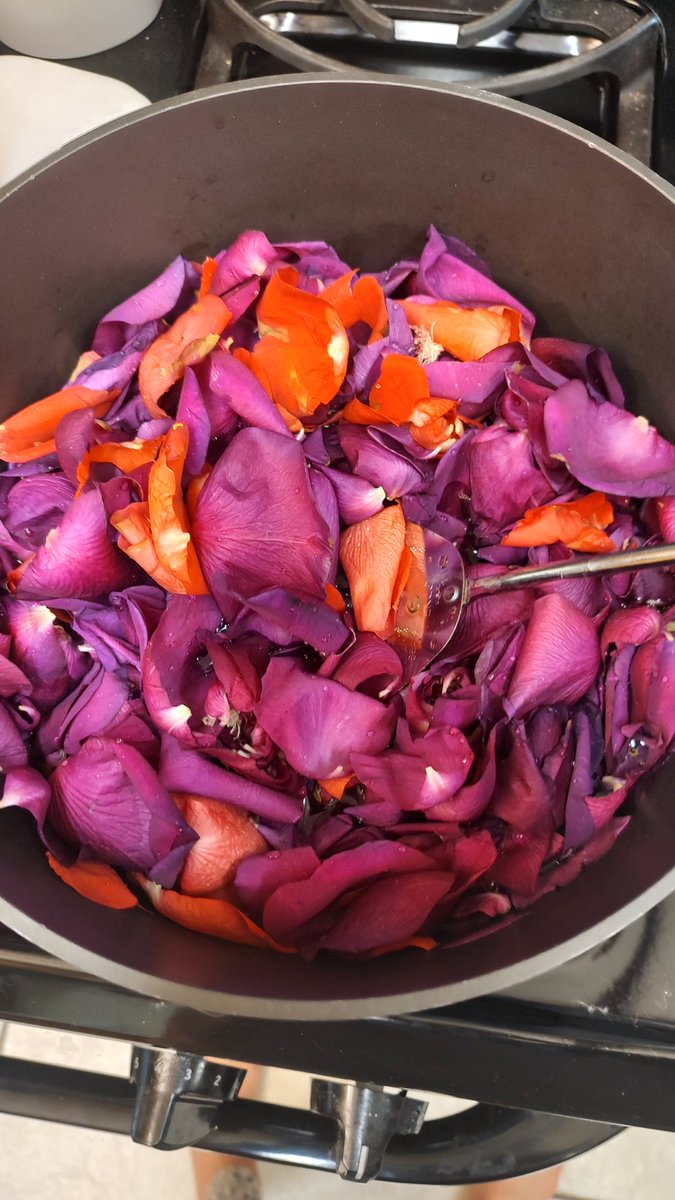 95dutchess's tweet photo. Making rose water!🌹🥀 https://t.co/yWcHgXlWnt