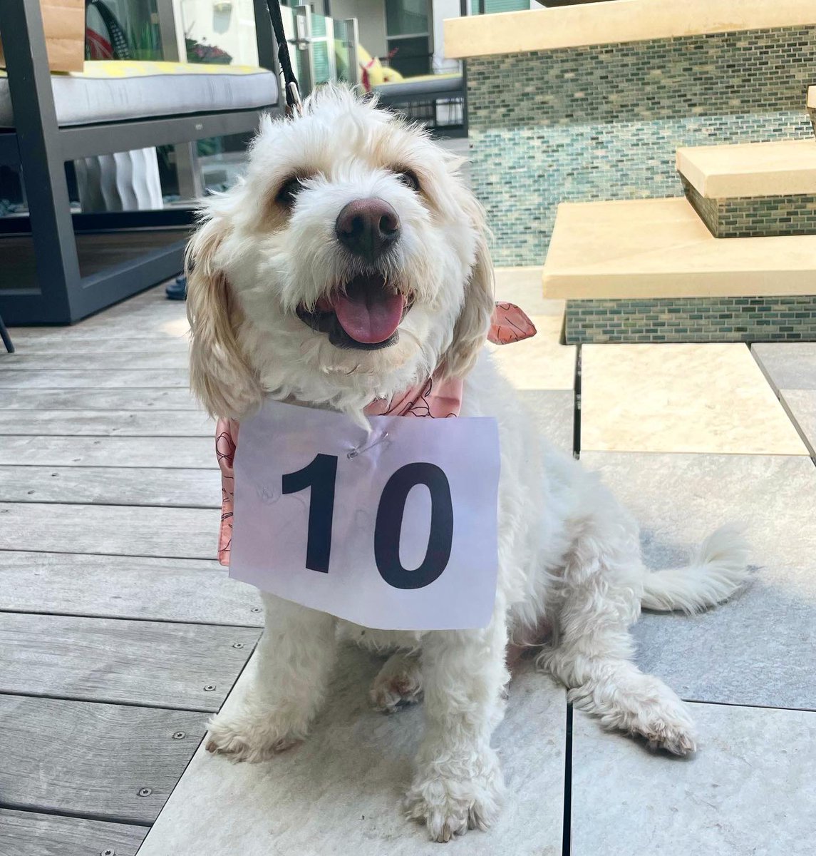 TCU Burnett AMWA tweet media