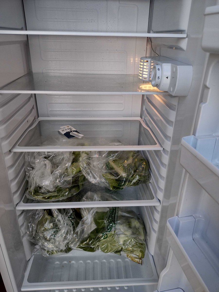 Locke Street Community Fridge tweet media
