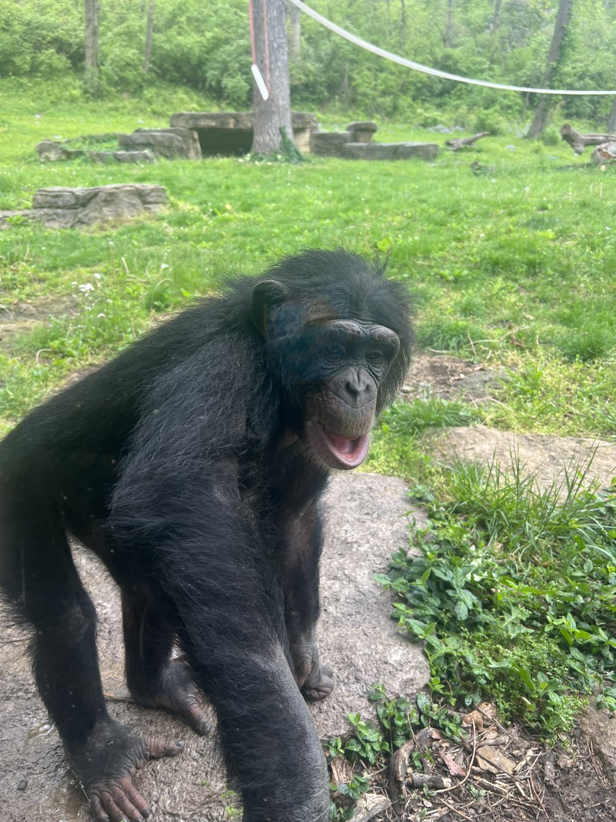 HigginsSMSD's tweet photo. We had the best time at @KansasCityZoo on Friday! Our favorite were the lions! @LHLionsSMSD 🦁 https://t.co/RlGQHGBoSp