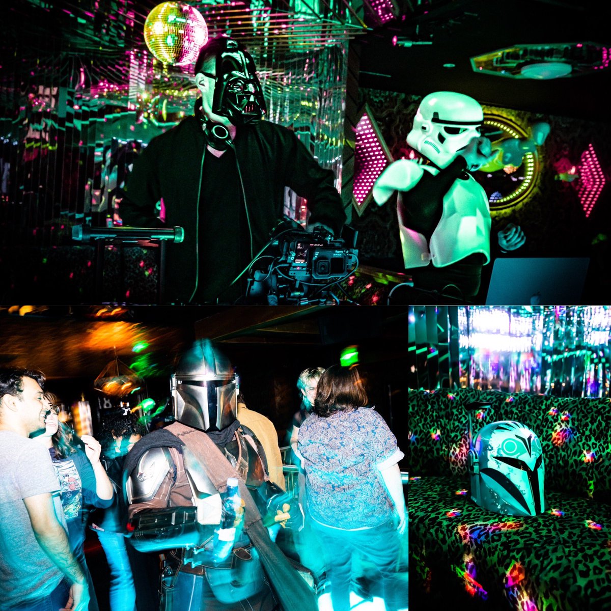 Danika Karolinski tweet media