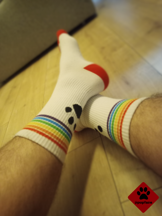 pupfaze's tweet photo. Les dernières arrivées ! 🧦🐶🐾⛓️🥵
#puppy #soumis #sneakers #slave #sniff #slave #bdsm #fetish #fetichistepied #odeur #esclave #gay #gayamiens #fetishgay #bottom #pup https://t.co/d1N1nTKPfg