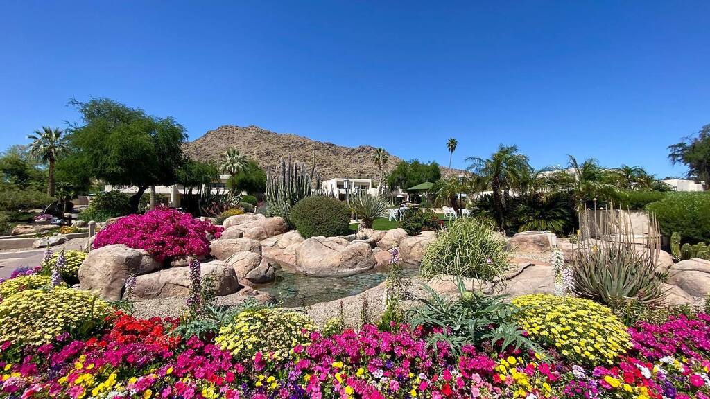 Steve Hall tweet media