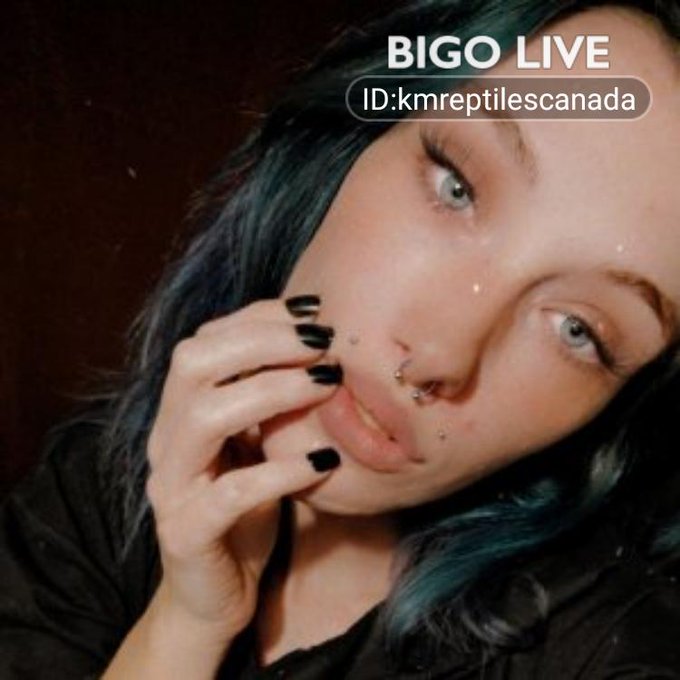 Come to chat in 🦎☠.яє&rho;т&iota;ℓє.g&iota;яℓ's LIVE room and earn bonus! New users or returning users fill in my invitation<a href="/tag/bigolive"class="tags"><span>#bigolive</span></a>