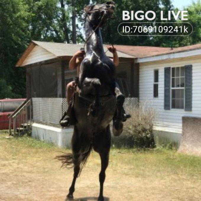 Come and see Cowboy K🐎 streaming live on #BIGOLIVE and make new friends!  https://t.co/jW2ER0TV6o https://t<a href="/tag/bigolive"class="tags">#BIGOLIVE</a>