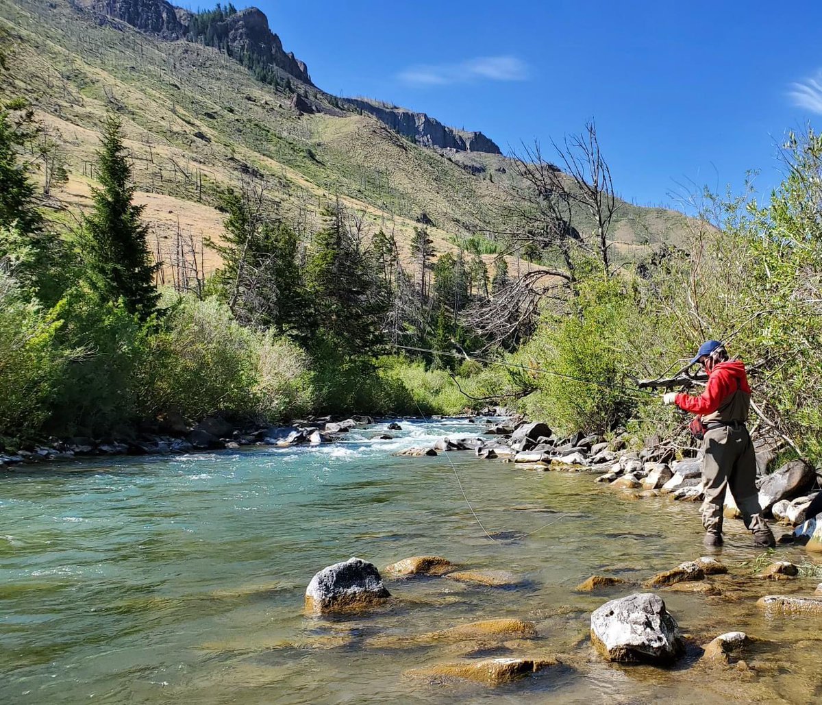 SunrisePacksta1's tweet photo. Looking forward to views like these on our favorite waters. This one is a secret spot just outside the park, but Barrett wouldn’t tell us exactly where it is! #flyfishing #greateryellowstoneecosystem #river #fishing #secretspot #fish https://t.co/pg3emHsI4a