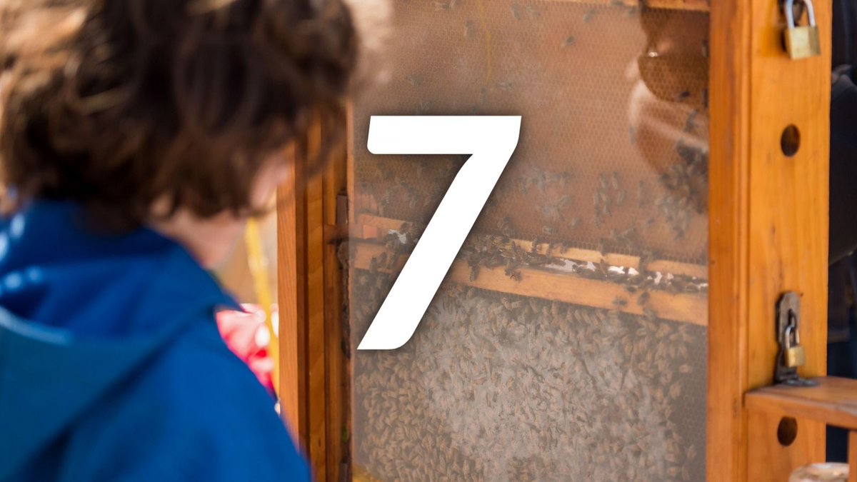 UofTSR's tweet photo. The countdown begins!
Only 1 week until #SR2023 arrives at the St. George campus!
#UofTSR
#SR2023 https://t.co/AchzbYbXw5