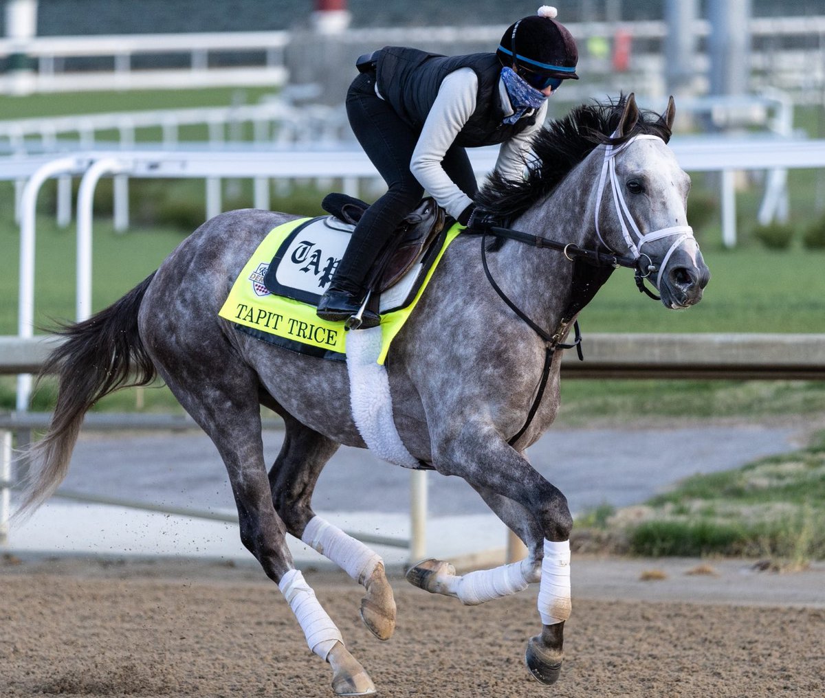 battlecrazewu's tweet image. Been on board all year on “The Big Grey Train” aka #TapitTrice sticking with him to win the #KentuckyDerby149 #KentuckyDerby