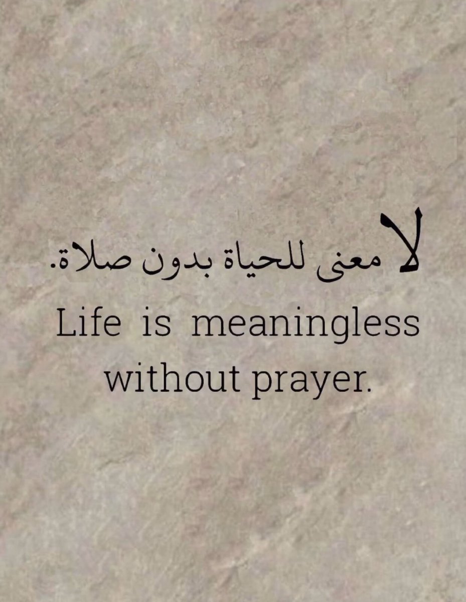 عمر بن الخطاب tweet media