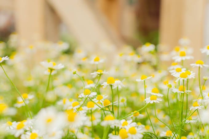 takaboo0805's tweet photo. おはようございます🌸🍃🌸😊

今日は1日雨みたいです☔️

今日は朝からお仕事です🌸
頑張ります🥰

お仕事終わったら
#マツエク
行って来まーす💕

今日もよろしくお願いします🥺💖 https://t.co/Tv5frjMuqZ