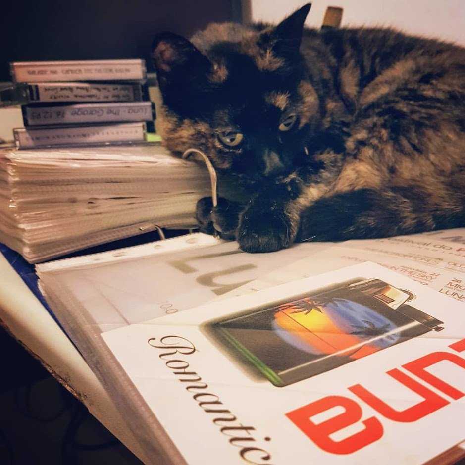 A Head Full of Wishes tweet media