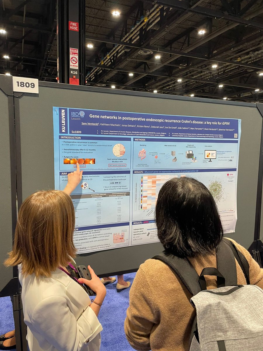 IBD Leuven tweet media
