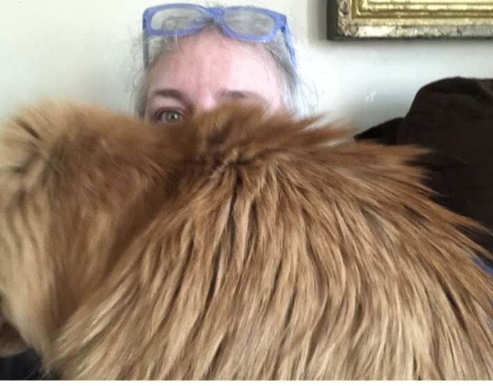 Barb Abney tweet media