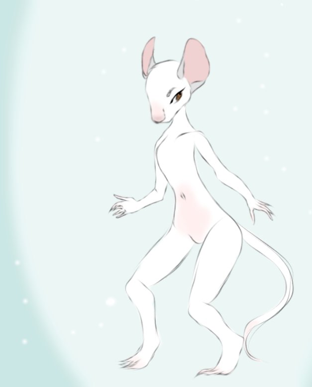 TheFemboy_'s tweet photo. @Riineche Go ahead https://t.co/6FoD2Zw1ce