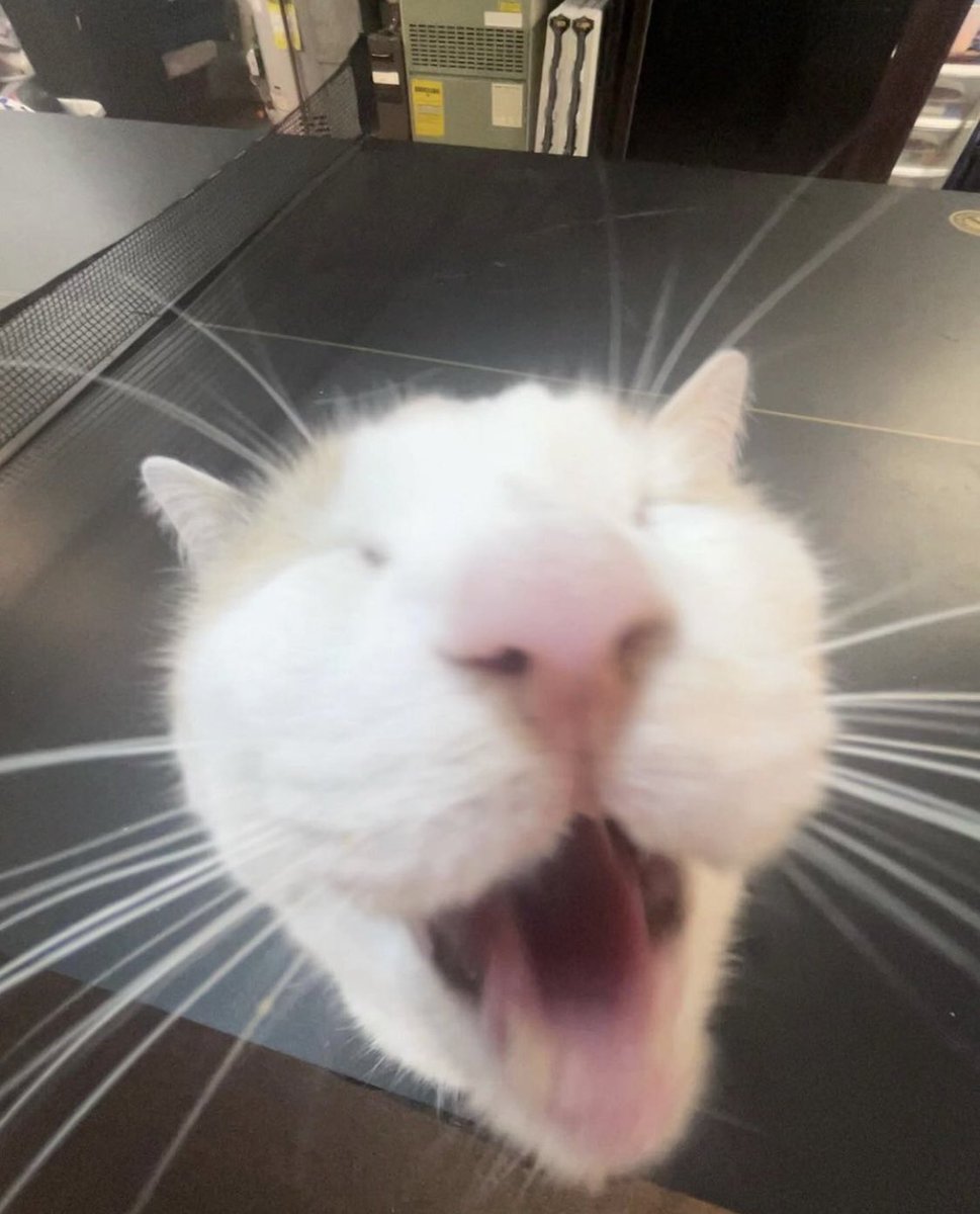 aiden (@adnclrke) on Twitter photo 