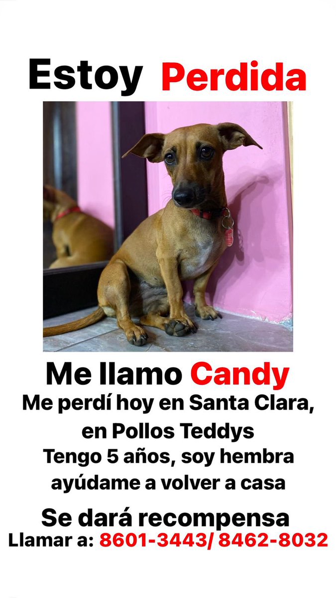 Ayúdemen a compartirlo Porfa 😭😭😭
