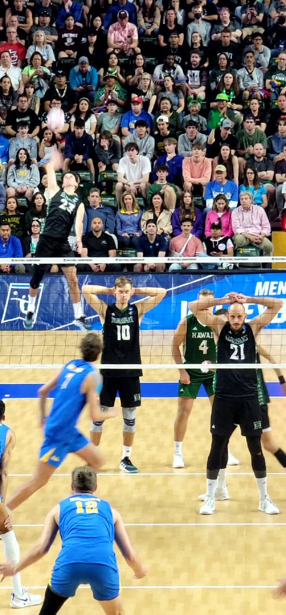 skurdoo's tweet photo. Crazy good volleyball at the 2023 #NCAAMVB finals here @GeorgeMasonU #GoBruins #GoBows https://t.co/f2oeNGMvWd