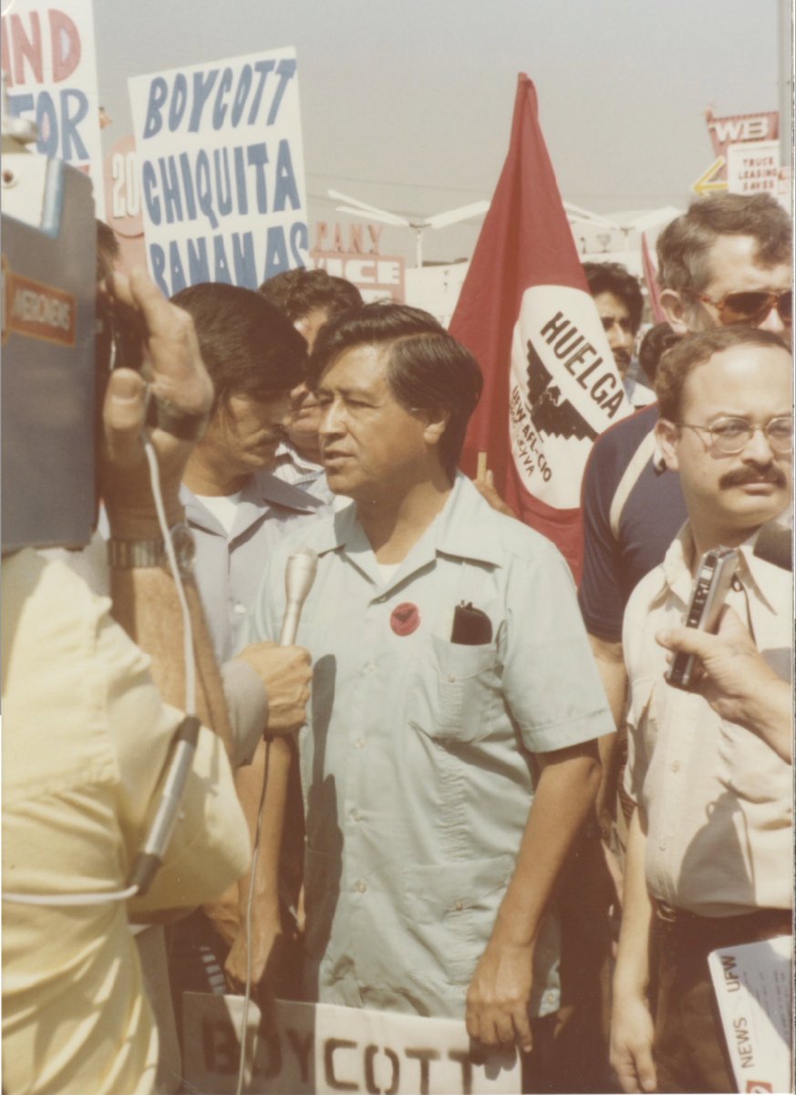 Moe Quteish tweet media