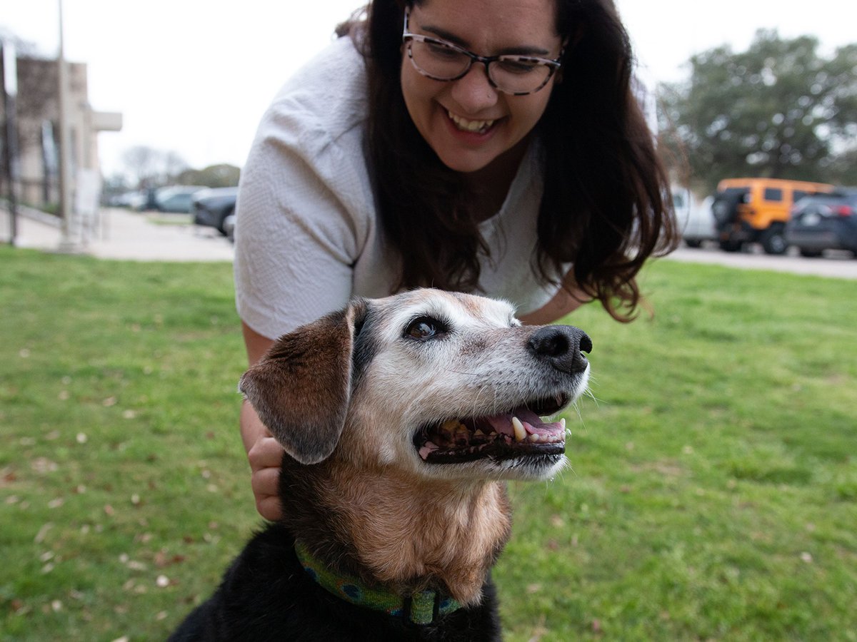 Texas A&M University tweet media