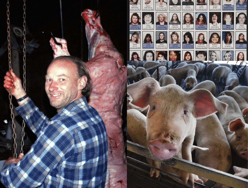 MorbidKnowledge's tweet photo. Canadian serial killer Robert Pickton was a pig farmer who admitted to killing 49 prostitutes by handcuffing them, strangling them, and gutting them before feeding them to his pigs. He was charged with a total of 26 murders and sentenced to life in prison with the possibility of parole after 25yrs.