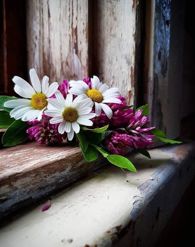 جميل الروح
 أينما وضع وكيفما وضع
 يبقى جميلاً ، لا يفسده ما حوله